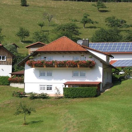 Ferienwohnung Burgblick Seelbach  Extérieur photo