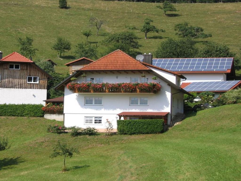Ferienwohnung Burgblick Seelbach  Extérieur photo