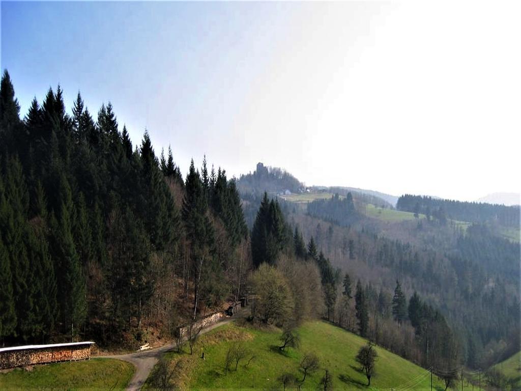 Ferienwohnung Burgblick Seelbach  Extérieur photo