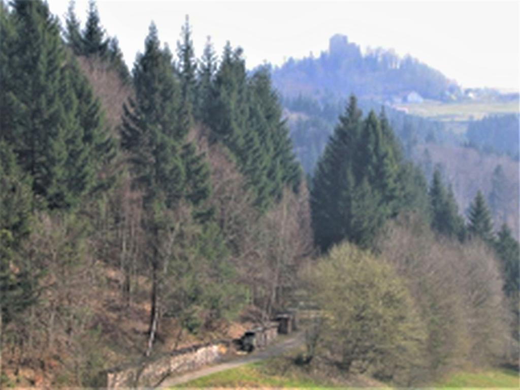 Ferienwohnung Burgblick Seelbach  Extérieur photo